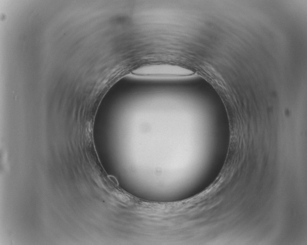 X0000089710045200706210927