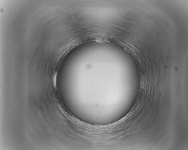 X0000089710047200706210927