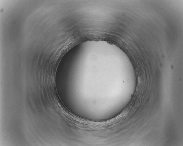 X0000089710048200706210927