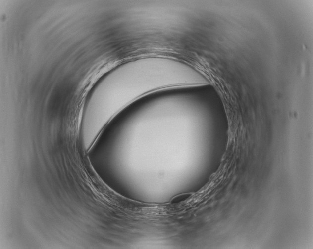 X0000089710050200706210926