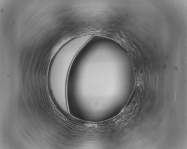 X0000089710052200706210926