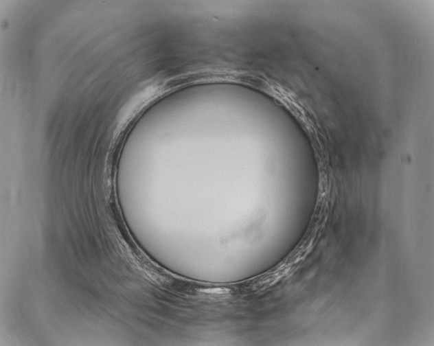 X0000089710053200706210926