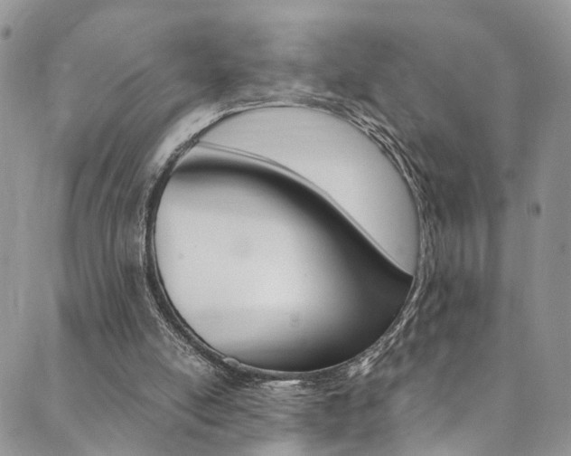 X0000089710054200706210926