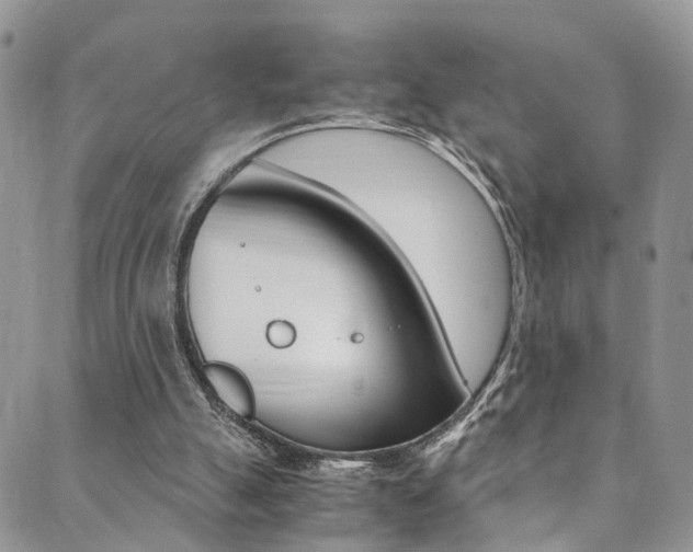 X0000089710055200706210926