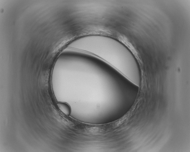 X0000089710058200706210926