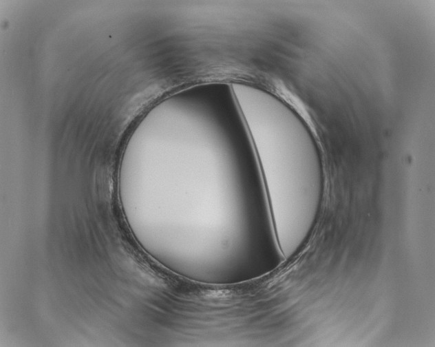 X0000089710059200706210926