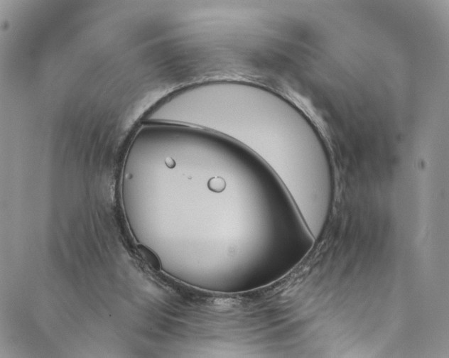 X0000089710060200706210926