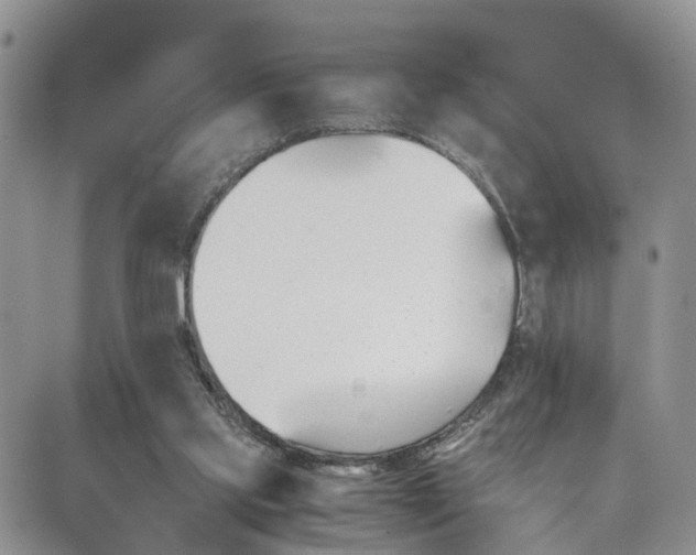 X0000089710061200706210926