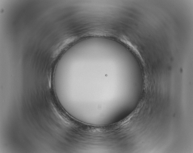 X0000089710062200706210926