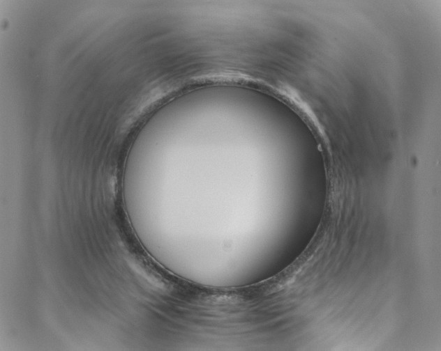 X0000089710063200706210926