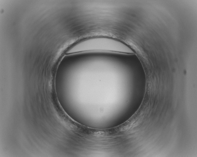 X0000089710064200706210926