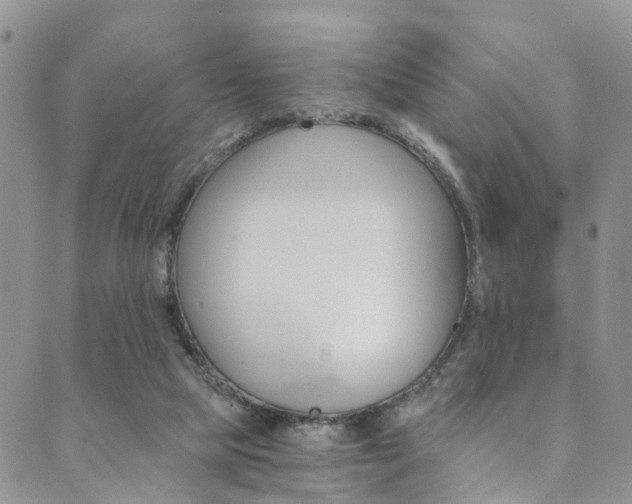 X0000089710065200706210926