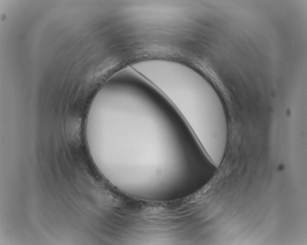 X0000089710066200706210926