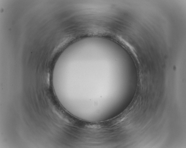 X0000089710067200706210926