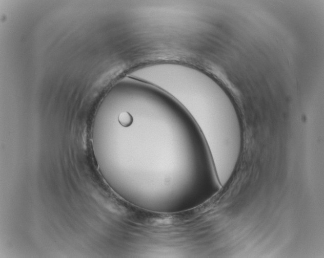 X0000089710068200706210926