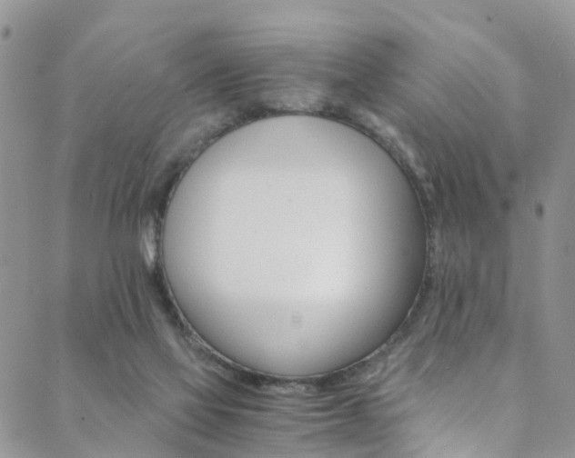 X0000089710069200706210926