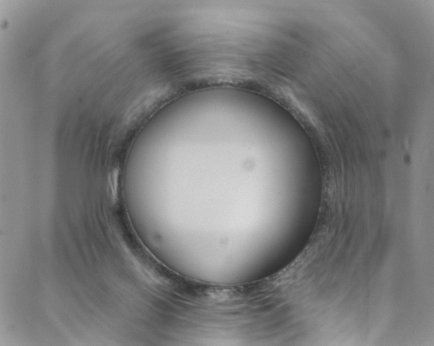 X0000089710070200706210926