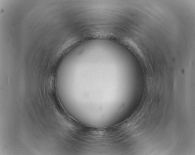 X0000089710071200706210926