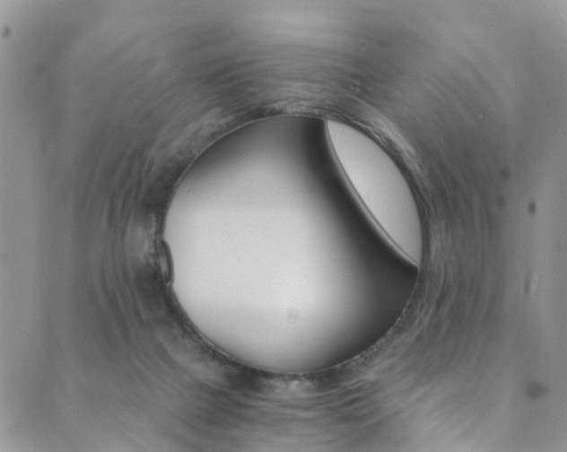 X0000089710073200706210926