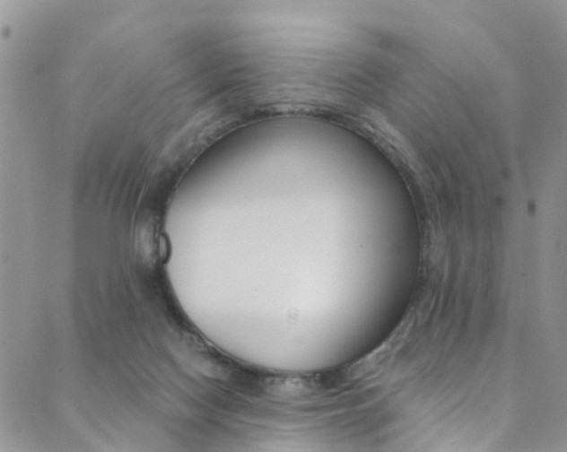 X0000089710074200706210926