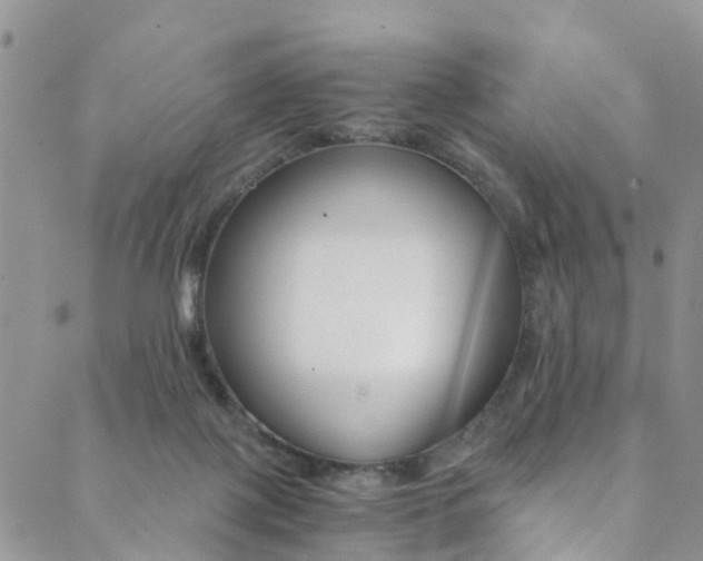 X0000089710075200706210926