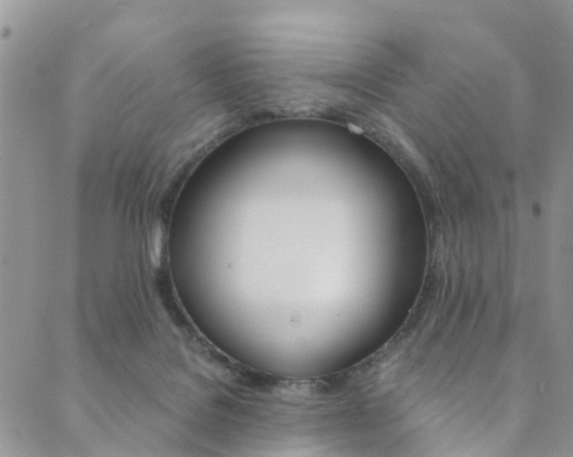 X0000089710076200706210926