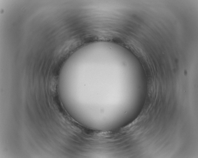 X0000089710078200706210926