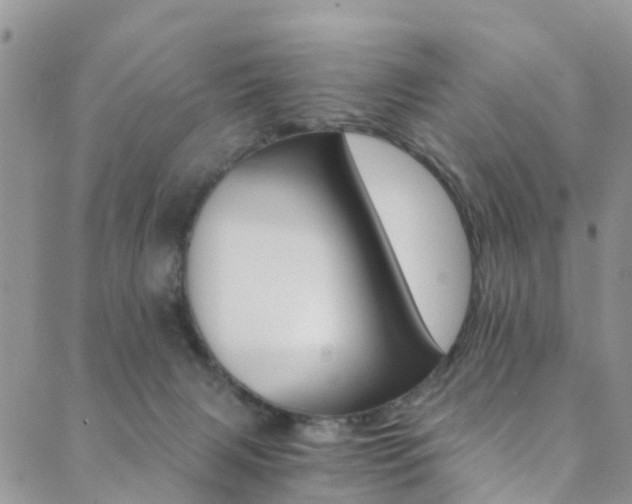 X0000089710079200706210926