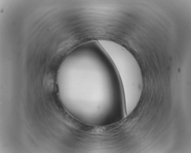 X0000089710080200706210926