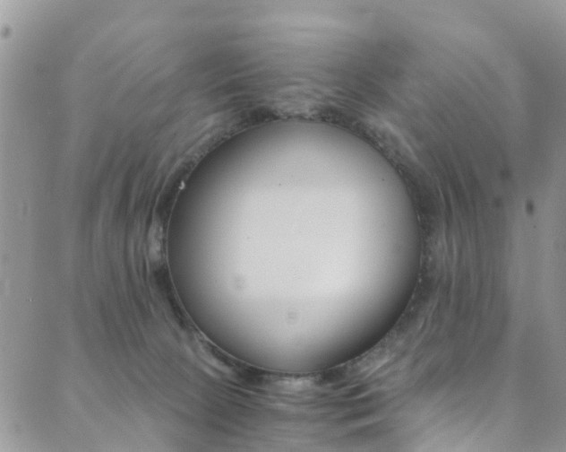 X0000089710081200706210926