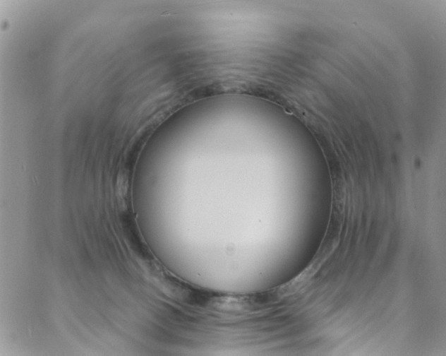 X0000089710082200706210926