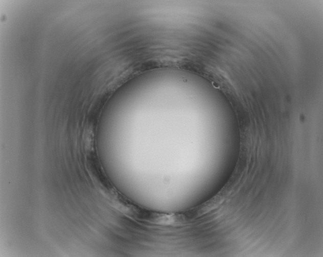 X0000089710083200706210926