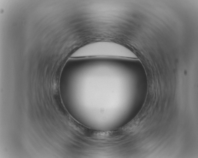 X0000089710084200706210926