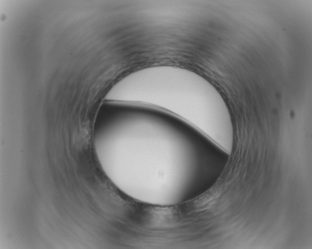 X0000089710085200706210926