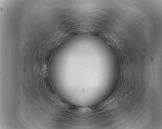 X0000089710087200706210926