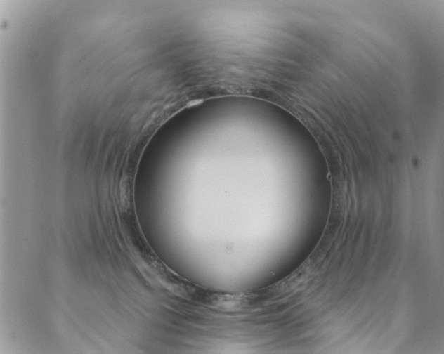 X0000089710088200706210927