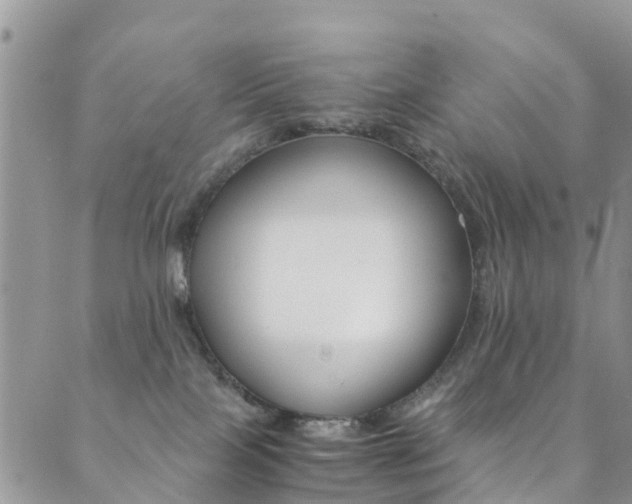 X0000089710089200706210927