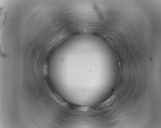 X0000089710090200706210927