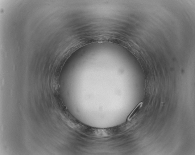 X0000089710091200706210927