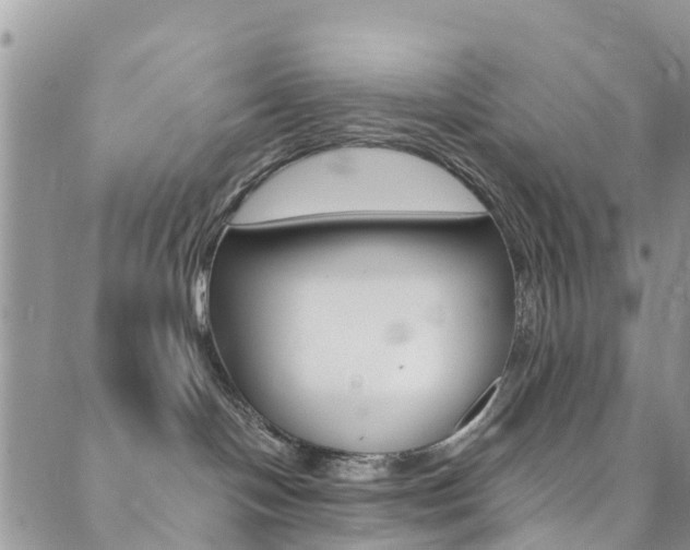 X0000089710094200706210927