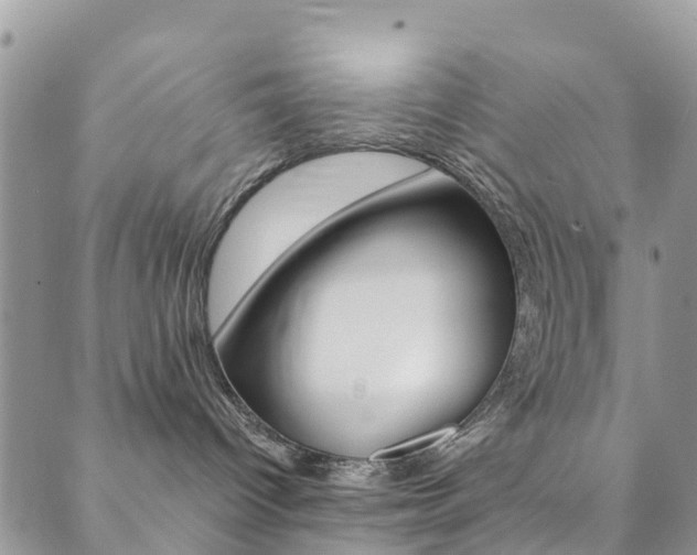 X0000089710096200706210927