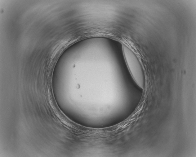 X0000089710097200706210926