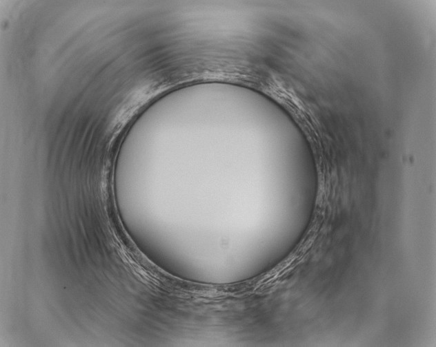 X0000089710098200706210926