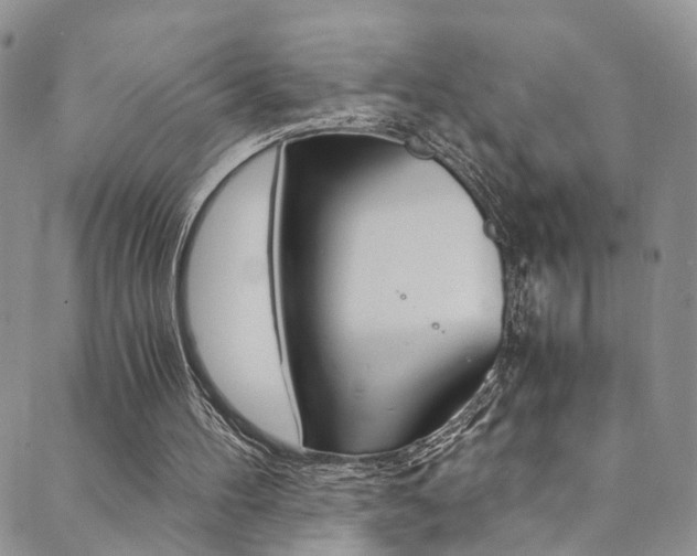 X0000089710100200706210926