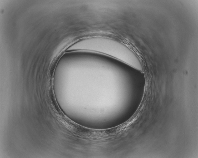 X0000089710101200706210926