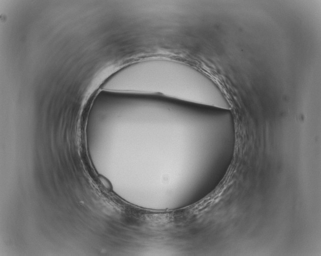 X0000089710102200706210926