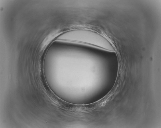 X0000089710103200706210926