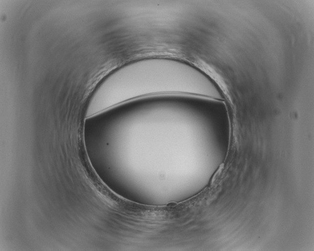 X0000089710105200706210926