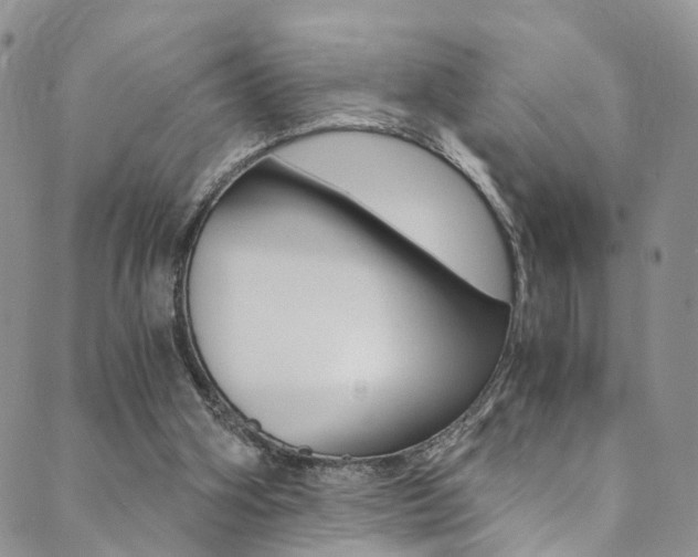 X0000089710106200706210926