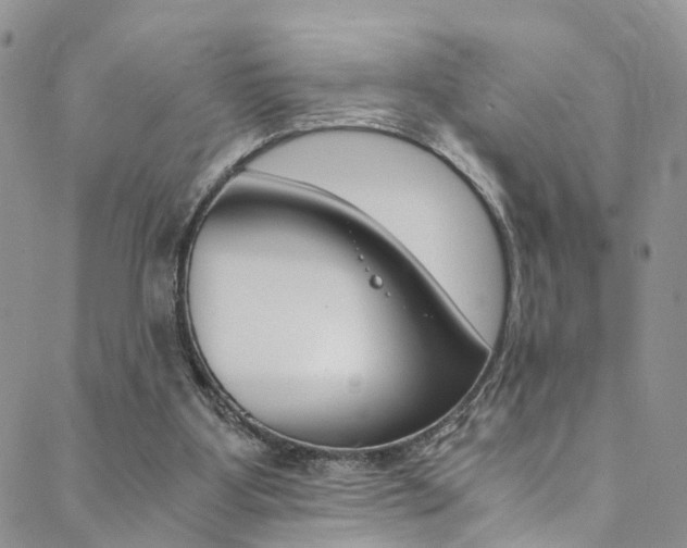 X0000089710107200706210926